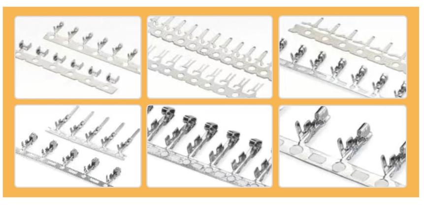 微信截图_20241205151827